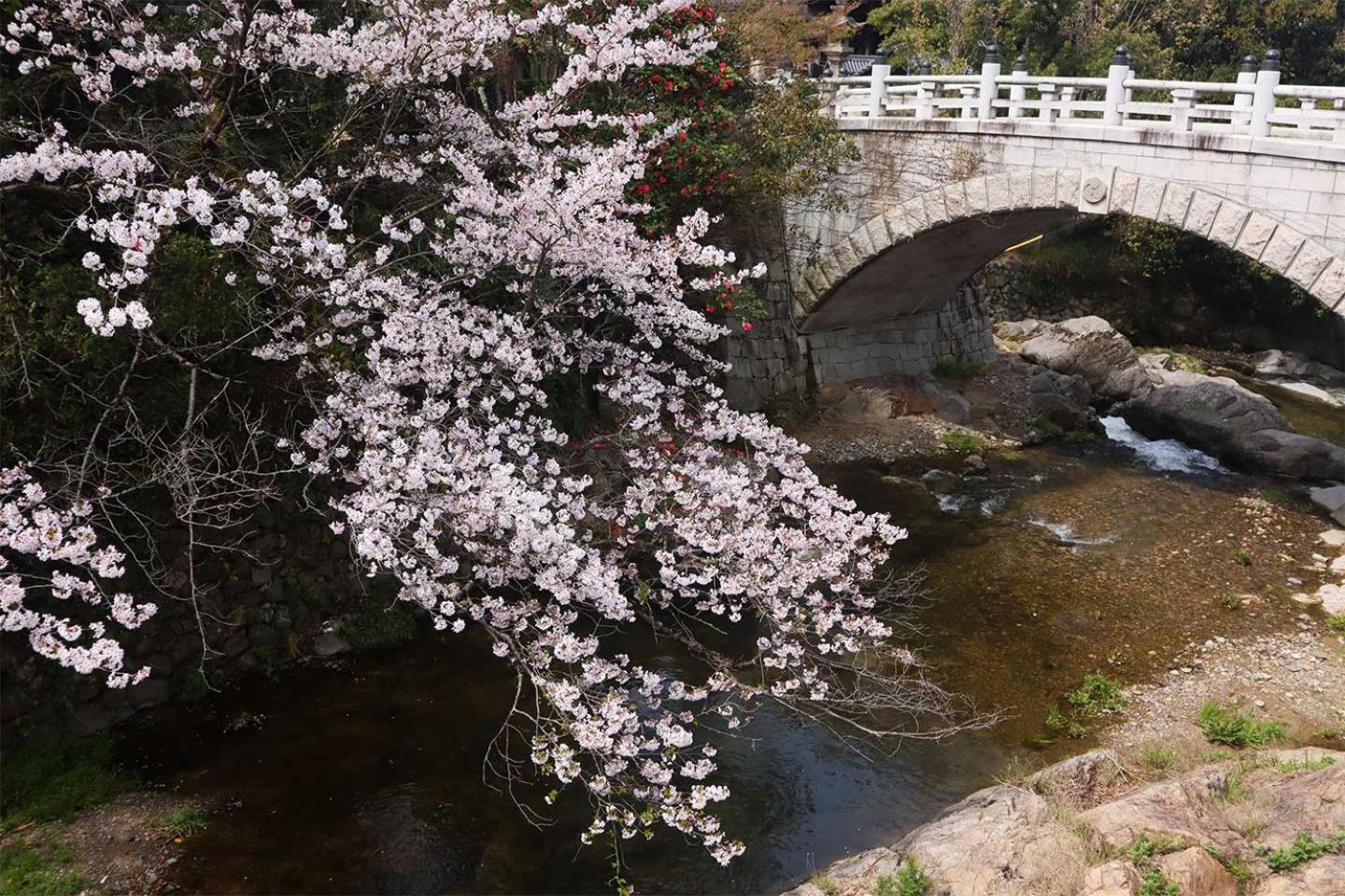 Kumatori みずまの宿 - Mizuma No Yado 빌라 외부 사진